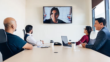 Virtual Meeting