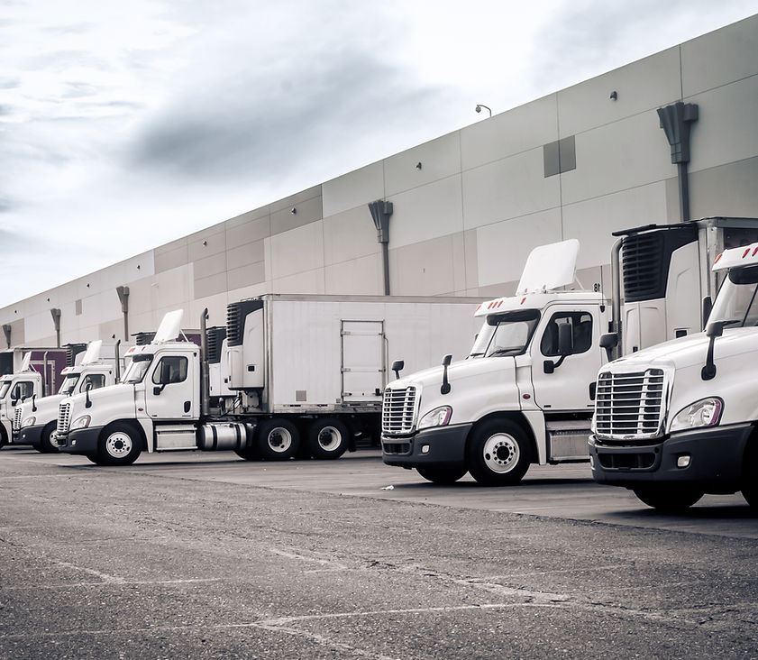 Fleet Of Trucks
