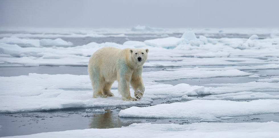 Leben, Alltag und Forschung auf der Polarexpedition