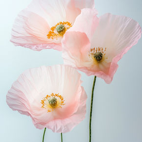 Fine sartrosa blomser, der vajer i vinden.