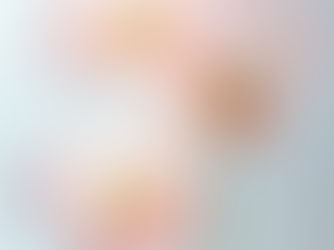 THE LAW OF LIFE IN CHRIST – Part 1