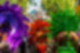 Carnival