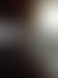 TENDER NOTICE : PROVISION OF STAFF TRANSPORT SERVICES IN RWAMREC FOR THE PERIOD OF ONE YEAR.