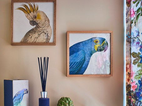 Framed parrot art on beige wall, wooden shelf with a vase, artichoke sculpture, candle, and patterned colorful curtain on the side.
