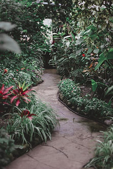 Garden Pathway