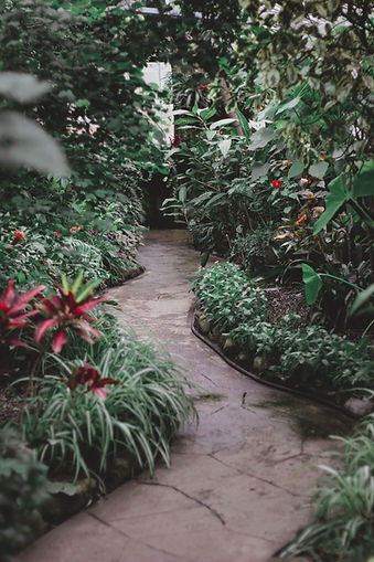 Lush Garden Pathway