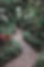 Garden Pathway