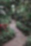 Allée de jardin
