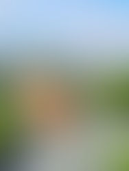 Nouvelle procédure d’arrivée au Vietnam : ce qui change à Hô Chi Minh-Ville dès le 15 avril 2026