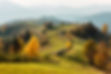 Hilly landscape in autumn