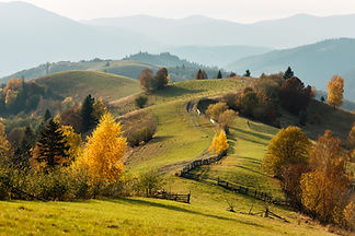 Hilly landscape in autumn