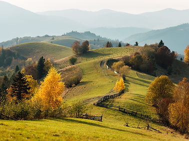 Hilly landscape in autumn