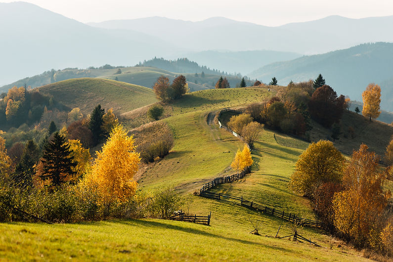 Hügellandschaft im Herbst