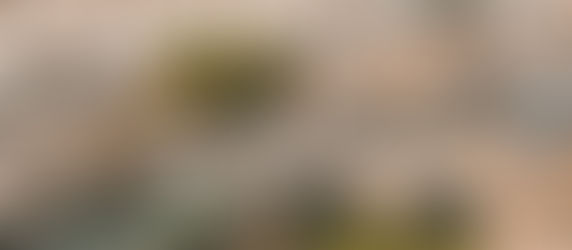 Vue des toits de Paris et de ses immeubles haussmanniens