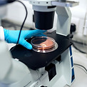 Microscope And Petri Dish