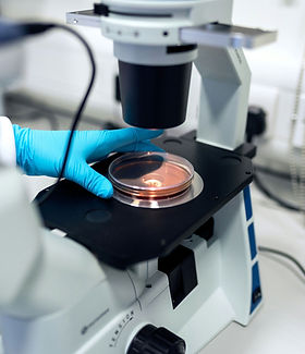 Microscope Analysis