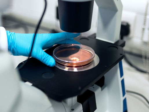 𝐌𝐢𝐜𝐫𝐨𝐬𝐜𝐨𝐩𝐢𝐜 𝐑𝐨𝐛𝐨𝐭𝐬 𝐍𝐨𝐰 𝐒𝐰𝐢𝐦 𝐈𝐧 𝐘𝐨𝐮𝐫 𝐁𝐥𝐨𝐨𝐝?!