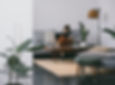 Rooted Northwest real estate agents in Seattle, WA