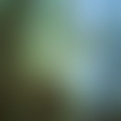 Wisdom and the Unpredictability of Life – Ecclesiastes 9 & 10