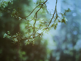 Trinitarian structure of reality.