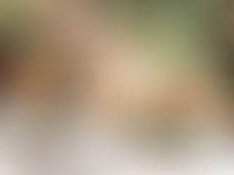 不信から始まる、本当の信頼