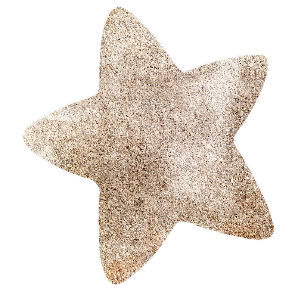 Starfish Illustration