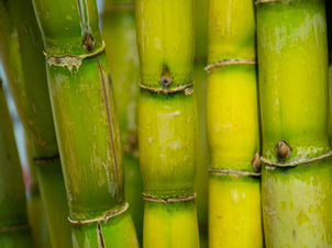 Bamboo Towels