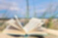 Offenes Buch