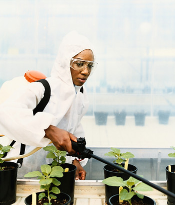 Lab Technician Spraying Plants
