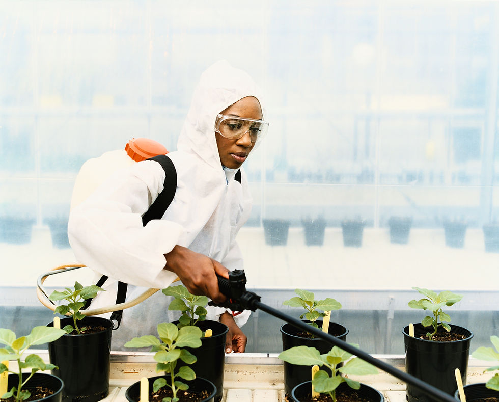 A woman is watering the plants