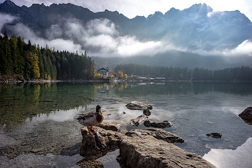 Eibsee Grainau Zugspitze