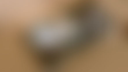 What is Company Culture?