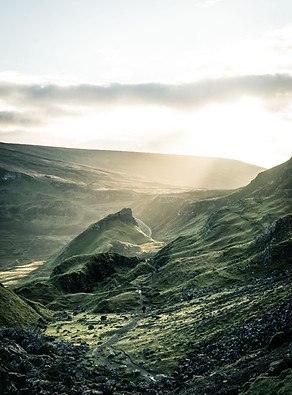 Sunlit Green Valley