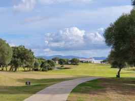 Four Ball Competition