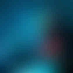 Wedding DJ in Sarasota