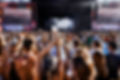 Concert Crowd