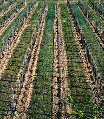 Agriculture