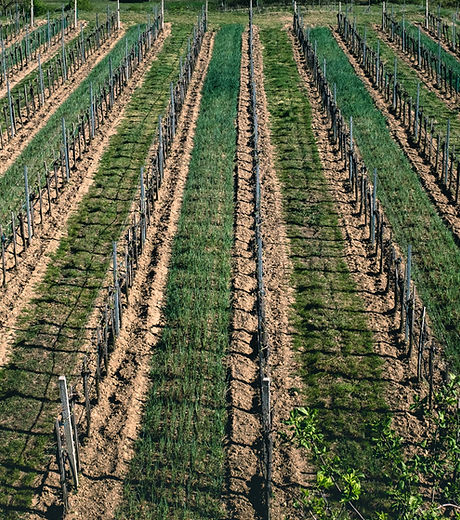 Agriculture