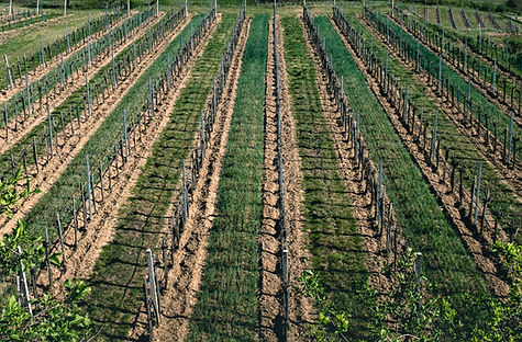 Agriculture