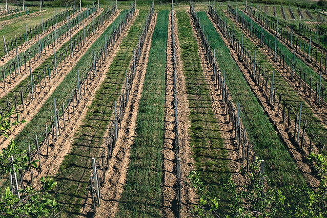 Agriculture