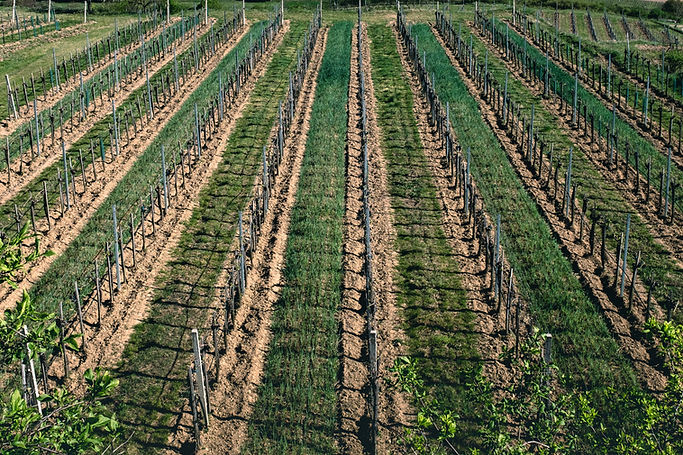 Agriculture