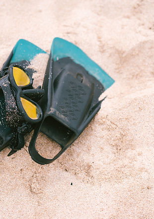 Snorkelling Fins