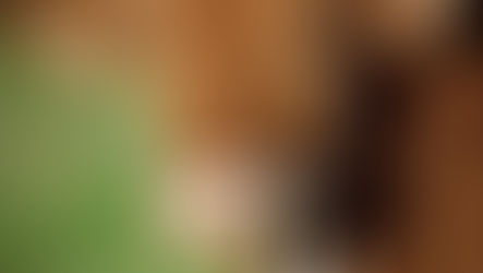 Market Report 10/24/2022