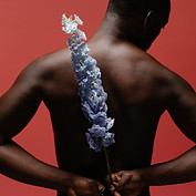 Back With Blue Flower