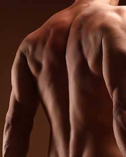 ĀhuaStudio_MuscularBackImage