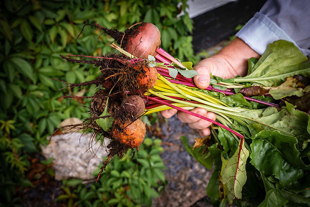 Manioc, arrowroot, salep, Jerusalem artichokes, sweet potatoes and similar roots and tubers with high starch or inulin content, fresh, chilled, frozen or dried, whether or not sliced or in the form of pellets; sago pith