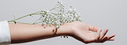 Flowers and Hand