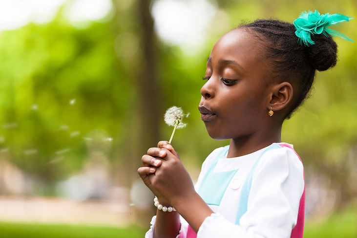 Menina soprando flor
