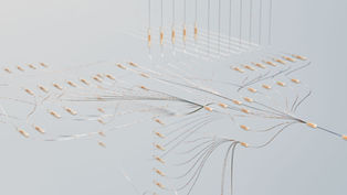 VENTURE.co Fund Services Hires Tony Olivo as Chief Revenue Officer