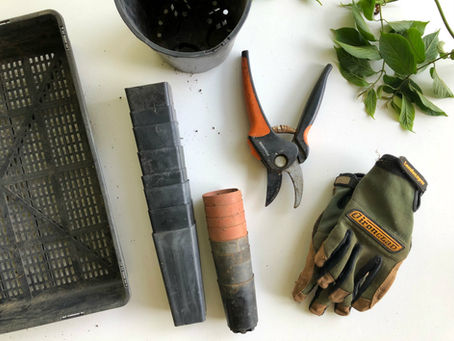 Organic Maintenance Tips for Spring